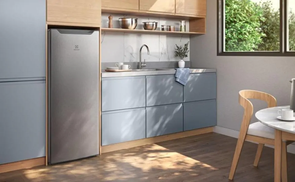 Imagem do artigo Geladeira Electrolux 213L Uma Porta com Freezer Duas Estrelas Inox_ Vale a Pena em 2026